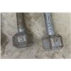 Image 4 : (4) 5 lb Steel Dumbells