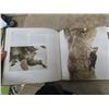Image 3 : The World of Robert Bateman Book