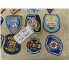Image 3 : 15 Police Patches
