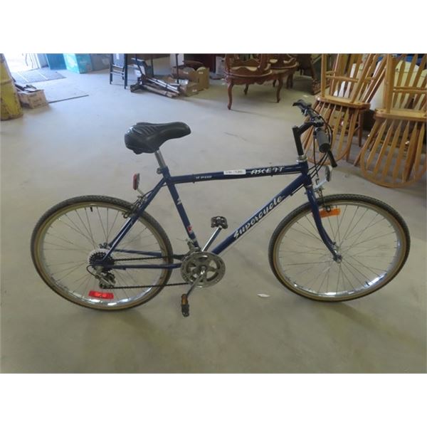 Ascent Super Cycle 12 Speed Bike with 22" Rims