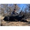 Image 1 : Hog Hunt at SandFork Ranch