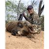 Image 2 : Hog Hunt at SandFork Ranch