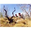 Image 1 : South African safari with Hercules Safaris