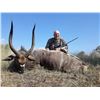 Image 2 : South African safari with Hercules Safaris