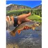 Image 1 : Wilderness horseback fishing trip with Flat Tops Wilderness Guides for one angler
