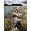 Image 2 : Wilderness horseback fishing trip with Flat Tops Wilderness Guides for one angler
