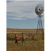 Image 2 : 1/2 Day Upland Bird Hunt @ The Bluffs  for 2 Hunters