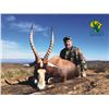 Image 1 : South Africa Safari