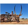 Image 3 : 5-day African Safari and bonus Silencer Central suppressor
