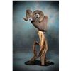 Image 2 : Taxidermy Credit for Brumfield Taxidermy - $1,000