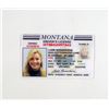 Image 1 : Paradise Lamb (Julianne Hough) Driver's License Move Props