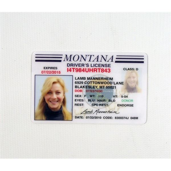 Paradise Lamb (Julianne Hough) Driver's License Move Props