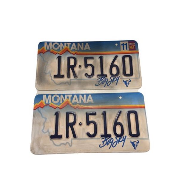 Father Stu (Mark Wahlberg) Montana License Plates Movie Props