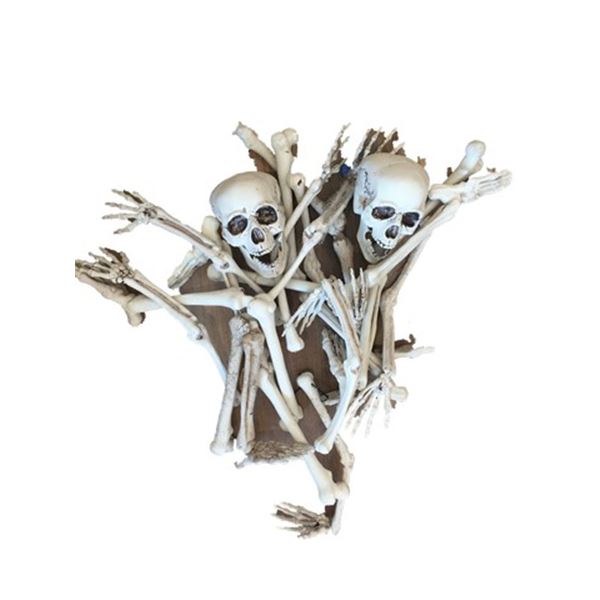 Hell Fest Skeleton Bones Movie Props