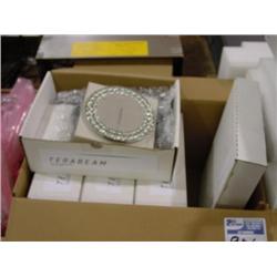 CASE OF TERABEAM BEACON'S