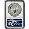 Image 2 : 1995-P $1 Proof American Silver Eagle Coin NGC PF69 Ultra Cameo