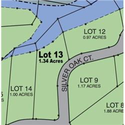 Lot 13 on Map is 1.34 Acres of Lake Front Property.
