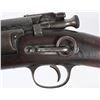 Image 12 : SPRINGFIELD MODEL 1896 KRAG CARBINE