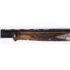 Image 11 : BROWNING SUPERPOSED DIANA GRADE ENGRAVED SHOTGUN