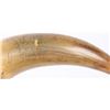 Image 7 : FANTASTIC NATHAN WHITING 1756 MAP POWDER HORN
