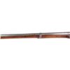 Image 10 : US SPRINGFIELD MODEL 1816 CONVERSION MUSKET