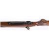 Image 12 : PRE 64 WINCHESTER MODEL 70 HEAVY BARREL IN .243