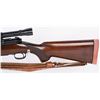 Image 8 : PRE WAR WINCHESTER PRE 64 MODEL 70 300 H&H RIFLE