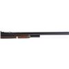 Image 4 : WINCHESTER MODEL 1876 CASE COLOR DELUXE RIFLE