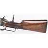 Image 9 : WINCHESTER MODEL 1876 CASE COLOR DELUXE RIFLE