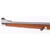 Image 11 : RUGER M77 MARK II STIANLESS IN .257 ROBERTS