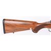 Image 3 : RUGER M77 MARK II STIANLESS IN .257 ROBERTS