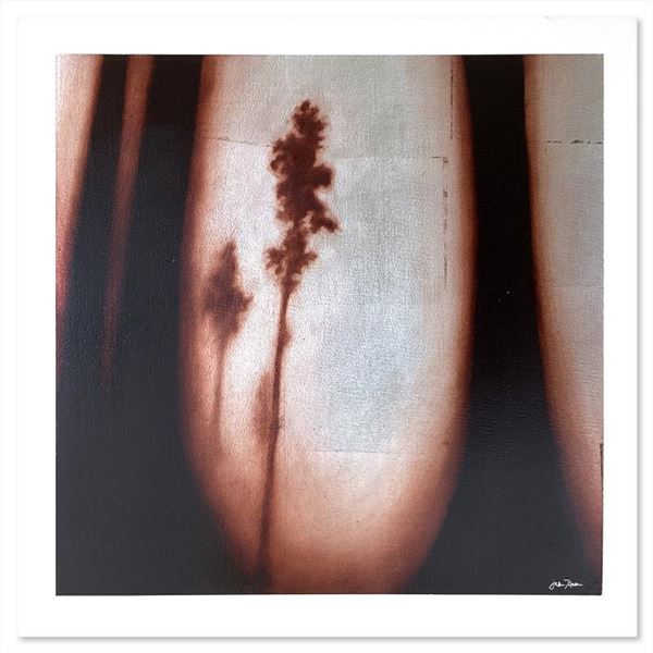 Bavaria by Horton Original