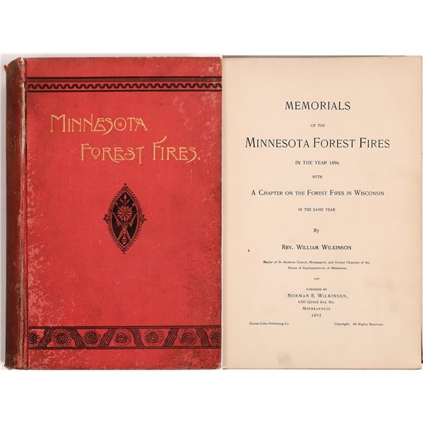 Minnesota Forest Fires by Wilkinson [150248]