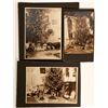 Image 1 : Atlantic City Christmas at Home [109200]