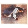Image 1 : Native American Art Print; 1996 [153635]