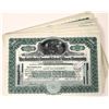 Image 1 : Goldfield Consolidated Mines Company Stock Group (100) [155652]