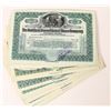 Image 1 : Goldfield Consolidated Mines Company Stock Group (100) [155650]