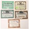 Image 1 : Goldfield Consolidated Mines Company Stock Group incl. Wingfield Autos [160308]