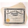 Image 1 : Ute Pass Land & Water Company Stock Certificates (40) [154720]