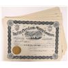 Image 1 : Ute Pass Land & Water Company Stock Certificates (40) [154721]