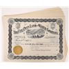 Image 1 : Ute Pass Land & Water Company Stock Certificates (40) [154722]