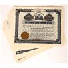 Image 1 : Hide's Franklin Mineral Spring & Hotel Co. Stock Certificates (50) [155741]