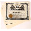 Image 1 : Hide's Franklin Mineral Spring & Hotel Co. Stock Certificates (52) [155739]