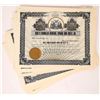 Image 1 : Hide's Franklin Mineral Spring & Hotel Co. Stock Certificates (85) [155740]