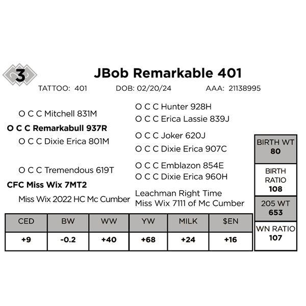 JBob Remarkable 401