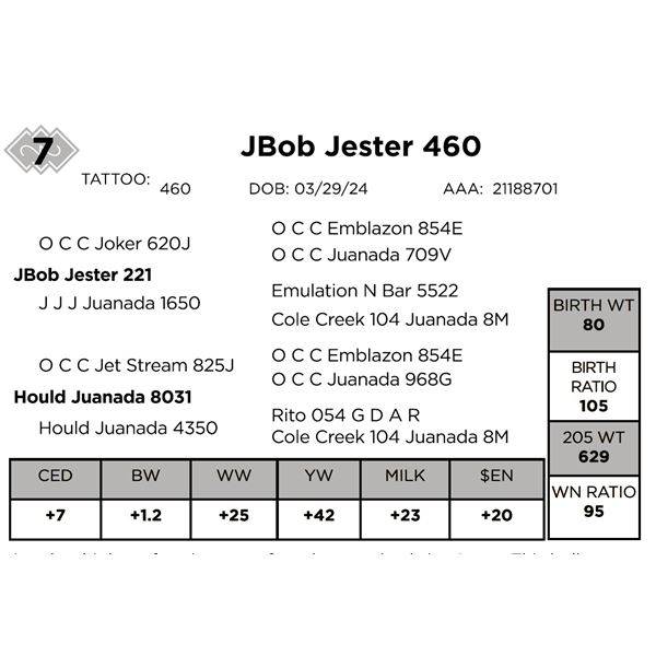 Jbob Jester 460