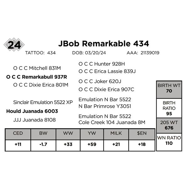 JBob Remarkable 434
