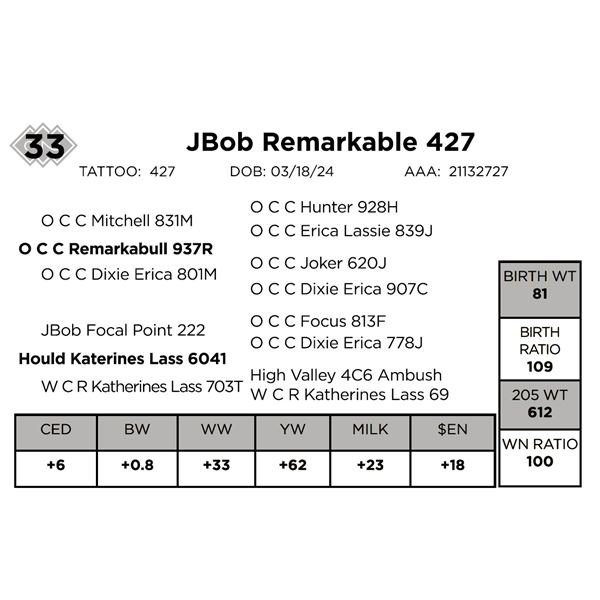 JBob Remarkable 427