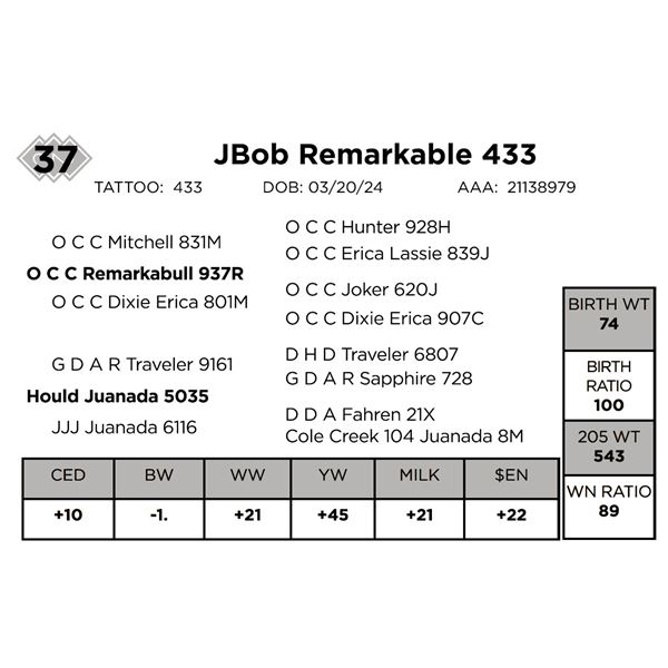 JBob Remarkable 433