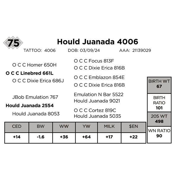 Hould Juanada 4006